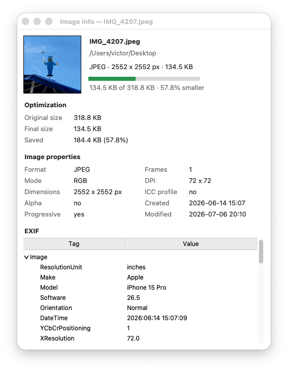 The new Image Info window
